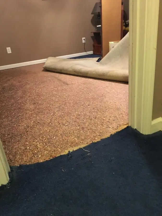Carpet pad removal revealing water damage during Drying & Dehumidification in Chesterfield