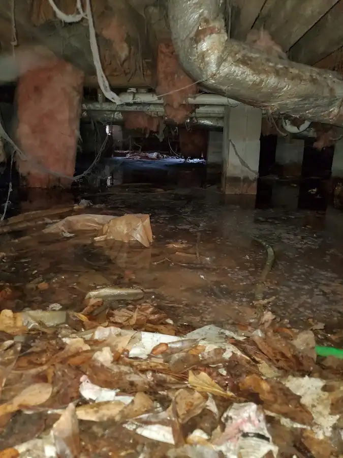 Crawl space flood assessment for Leak Detection & Repair in Chesterfield