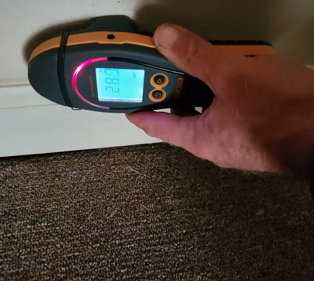 Moisture detection at baseboard during Mold Inspection & Testing in Chesterfield